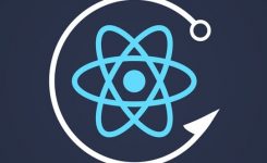 Reactjs Developer